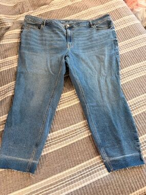 Old Navy Plus Size 26 Mid-Rise Skinny Denim Jeans